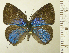  ( - RCB06384)  @11 [ ] by-nc-sa (2022) Robert C. Busby Robert C. Busby
