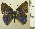  ( - RCB07230)  @11 [ ] by-nc-sa (2022) Robert C. Busby Robert C. Busby