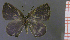  ( - RCCFXPL3D06)  @11 [ ] by-nc-sa (2023) C. Faynel C. Faynel