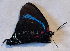  ( - RCCFXPL6B05)  @11 [ ] by-nc-sa (2024) C. Faynel C. Faynel