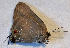  ( - RCCFXPL6B08)  @11 [ ] by-nc-sa (2024) C. Faynel C. Faynel