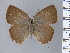  ( - RCCFXPL7H10)  @11 [ ] by-nc-sa (2025) C. Faynel C. Faynel