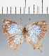  ( - RCCP835)  @11 [ ] copyright (2023) Center For Collection-Based Research Center For Collection-Based Research
