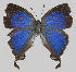  ( - RCPBXPL3A03)  @11 [ ] by-nc-sa (2023) P. Boyer P. Boyer