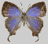  ( - RCPBXPL3A04)  @11 [ ] by-nc-sa (2023) P. Boyer P. Boyer
