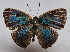  ( - RCWFA12)  @11 [ ] by-nc-sa (2024) C. Faynel C. Faynel