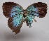  ( - RCWFB05)  @11 [ ] by-nc-sa (2024) C. Faynel C. Faynel