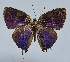  ( - RCWFB09)  @11 [ ] by-nc-sa (2024) C. Faynel C. Faynel