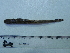  ( - UNMDP T 2139)  @11 [ ] Unspecified (default): All Rights Reserved  Unspecified Unspecified