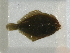  ( - UNMDP T 2161)  @13 [ ] Unspecified (default): All Rights Reserved  Unspecified Unspecified