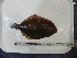  ( - UNMDP T 2162)  @12 [ ] Unspecified (default): All Rights Reserved  Unspecified Unspecified