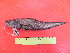  ( - UNMDP T 3159)  @11 [ ] Unspecified (default): All Rights Reserved  Unspecified Unspecified
