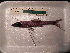  ( - UNMDP T 3176)  @11 [ ] Unspecified (default): All Rights Reserved  Unspecified Unspecified