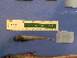  ( - UNMDP T 3177)  @11 [ ] Unspecified (default): All Rights Reserved  Unspecified Unspecified
