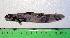  ( - INIDEP-T 0556)  @12 [ ] Unspecified (default): All Rights Reserved  Unspecified Unspecified