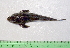  ( - INIDEP-T 0563)  @13 [ ] Unspecified (default): All Rights Reserved  Unspecified Unspecified