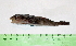 ( - INIDEP-T 0563)  @13 [ ] Unspecified (default): All Rights Reserved  Unspecified Unspecified