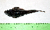  ( - INIDEP-T 0564)  @13 [ ] Unspecified (default): All Rights Reserved  Unspecified Unspecified