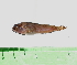  ( - INIDEP-T 0565)  @12 [ ] Unspecified (default): All Rights Reserved  Unspecified Unspecified