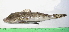  ( - INIDEP-T 0635)  @13 [ ] Unspecified (default): All Rights Reserved  Unspecified Unspecified