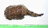  ( - INIDEP-T 0636)  @13 [ ] Unspecified (default): All Rights Reserved  Unspecified Unspecified