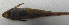  ( - UNMDP-T 0525)  @12 [ ] No Rights Reserved  Unspecified Unspecified