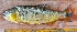  ( - UNMDP T 568)  @14 [ ] Unspecified (default): All Rights Reserved  Unspecified Unspecified