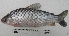  ( - UNMDP-T 1271)  @14 [ ] Unspecified (default): All Rights Reserved  Unspecified Unspecified