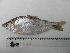  ( - UNMDP-T 1308)  @14 [ ] Unspecified (default): All Rights Reserved  Unspecified Unspecified