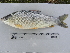  ( - UNMDP-T 1325)  @14 [ ] Unspecified (default): All Rights Reserved  Unspecified Unspecified