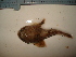  ( - UNMDP-T 0137)  @11 [ ] Unspecified (default): All Rights Reserved  Unspecified Unspecified