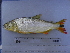  ( - UNMDP-T 1384)  @14 [ ] Unspecified (default): All Rights Reserved  Unspecified Unspecified