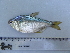  ( - UNMDP-T 1404)  @14 [ ] Unspecified (default): All Rights Reserved  Unspecified Unspecified