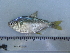  ( - UNMDP-T 1405)  @14 [ ] Unspecified (default): All Rights Reserved  Unspecified Unspecified