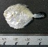  ( - UNMDP-T 0164)  @12 [ ] Unspecified (default): All Rights Reserved  Unspecified Unspecified