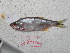  ( - UNMDP-T 1650)  @14 [ ] Unspecified (default): All Rights Reserved  Unspecified Unspecified