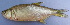  ( - UNMDP-T 1652)  @14 [ ] Unspecified (default): All Rights Reserved  Unspecified Unspecified