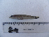  ( - UNMDP T 2129)  @11 [ ] Unspecified (default): All Rights Reserved  Unspecified Unspecified