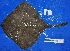  ( - UNMDP-T 4581)  @11 [ ] Unspecified (default): All Rights Reserved  Unspecified Unspecified