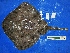  ( - UNMDP-T 4582)  @11 [ ] Unspecified (default): All Rights Reserved  Unspecified Unspecified
