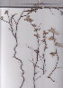  ( - AMM3285)  @11 [ ] No Rights Reserved  Unspecified Unspecified