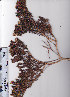 ( - AMM3405)  @11 [ ] No Rights Reserved  Unspecified Unspecified