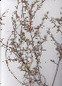  ( - AMM3563)  @11 [ ] No Rights Reserved  Unspecified Unspecified