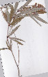  ( - AMM3767)  @11 [ ] No Rights Reserved  Unspecified Unspecified