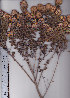  ( - AMM3850)  @11 [ ] No Rights Reserved  Unspecified Unspecified