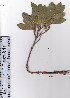  ( - AMM3929)  @11 [ ] No Rights Reserved  Unspecified Unspecified