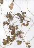  ( - AMM4240)  @11 [ ] No Rights Reserved  Unspecified Unspecified