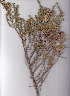  ( - AMM4304)  @11 [ ] No Rights Reserved  Unspecified Unspecified