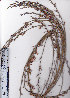  ( - AMM4321)  @11 [ ] No Rights Reserved  Unspecified Unspecified