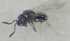  ( - FAW06)  @11 [ ] Unspecified (default): All Rights Reserved (2022) Ramesh Babu Maharana Pratap University of Agriculture and Technology